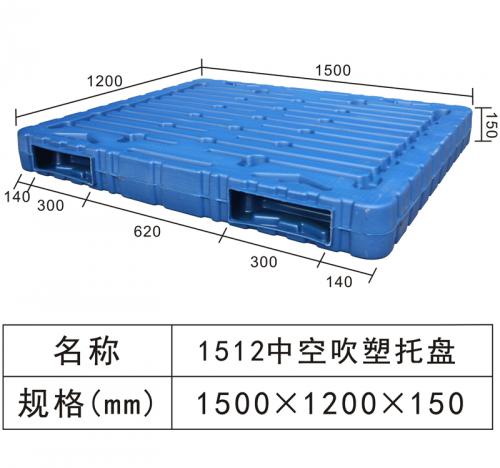 Hollow blow molding tray